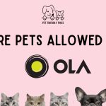 Are Pets Allowed in Ola Cabs