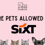 Are Pets Allowed in Sixt Car Rental?