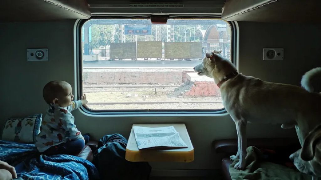 Are Pets Allowed in Trains