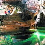 Is Wookey Hole Dog Friendly