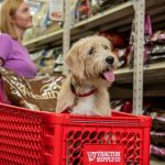 Are Dogs Pets Allowed in Tractor Supply