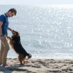 Are Pets Allowed at Baker Beach Pet Policy