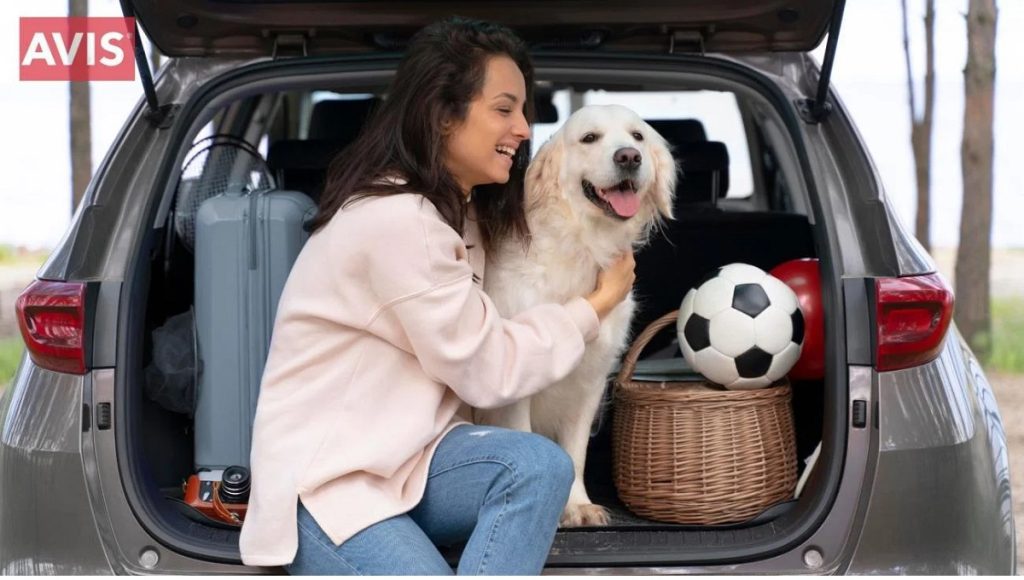 Are Pets Allowed in Avis Car Rental