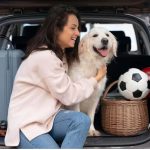 Are Pets Allowed in Avis Car Rental