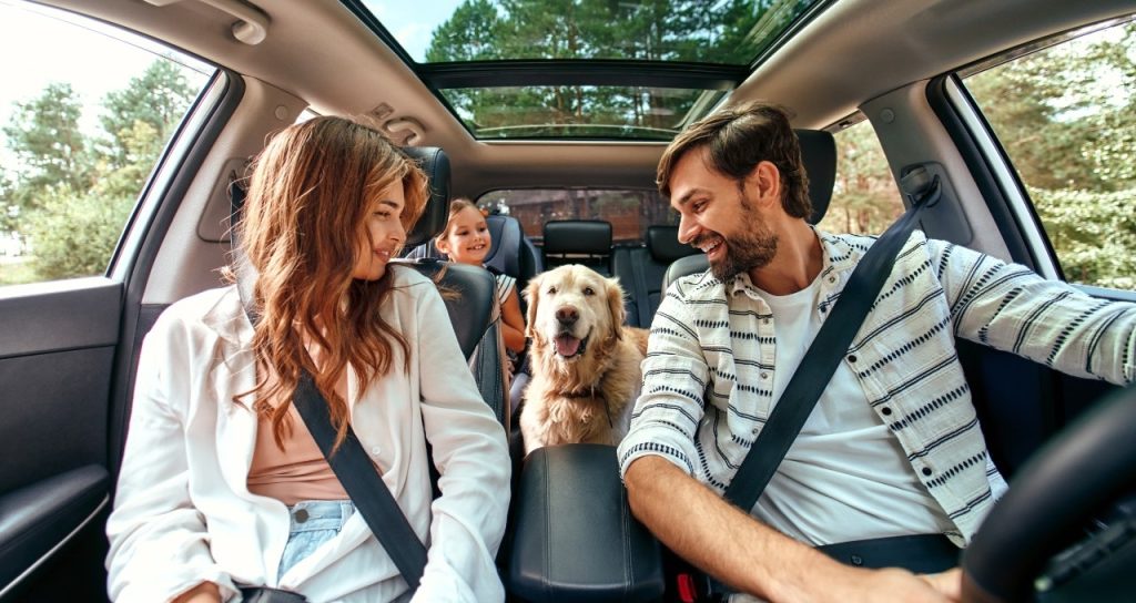 Are Pets Allowed in Enterprise Rent a Car