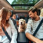 Are Pets Allowed in Enterprise Rent a Car