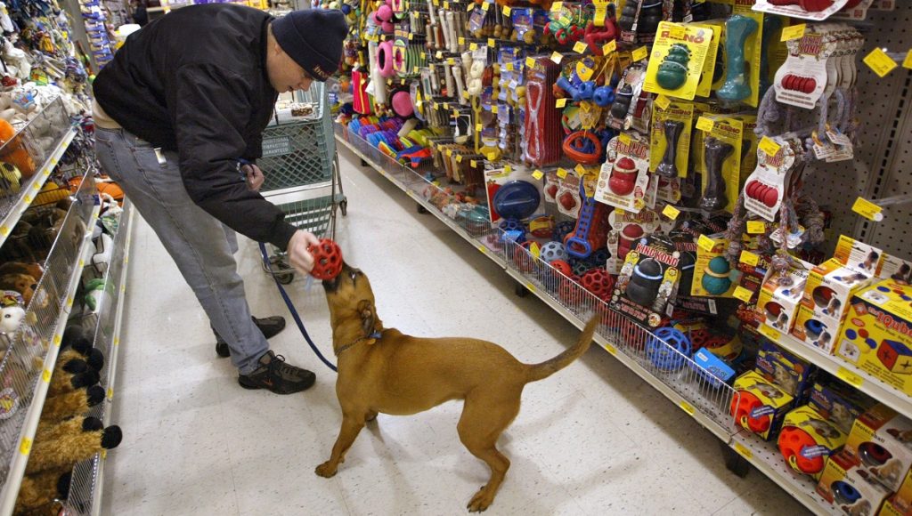 Are Pets Allowed in Grocery Stores?