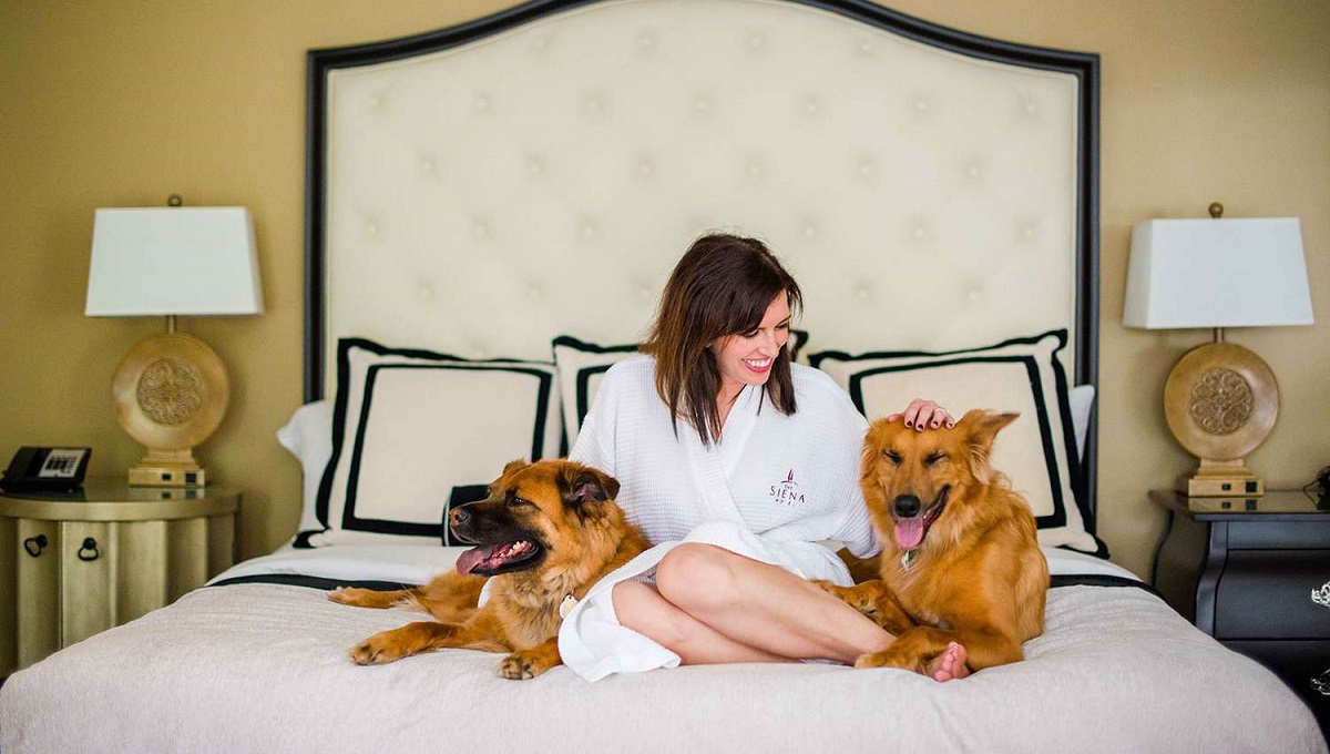 Are Pets Allowed in Hotels? Pet Help Reviews UK