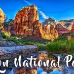 Are Pets Allowed in Zion National Park