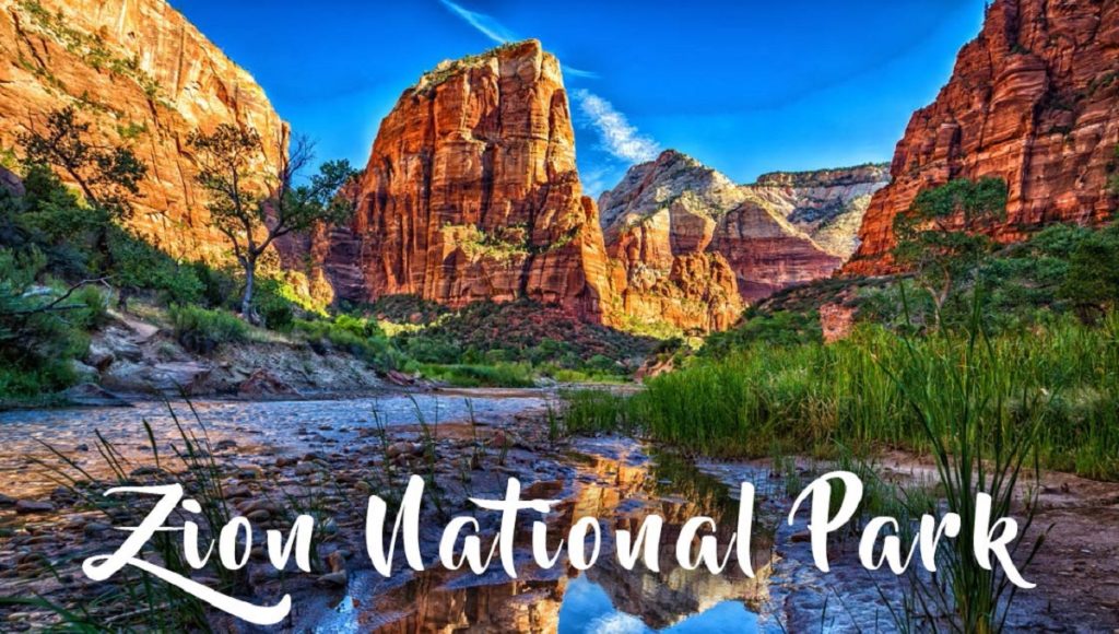 Are Pets Allowed in Zion National Park