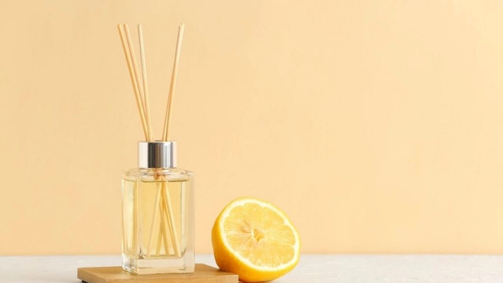 Are Reed Diffusers Safe for Dogs