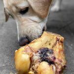 Are Roasted Knuckle Bones Safe for Dogs