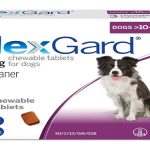 Can a Dog Overdose on Nexgard