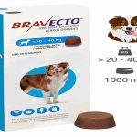 Can Bravecto Be Given to Nursing Dogs