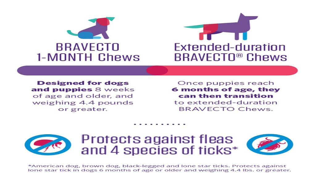Can Bravecto Give Dogs Diarrhea