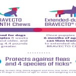 Can Bravecto Give Dogs Diarrhea