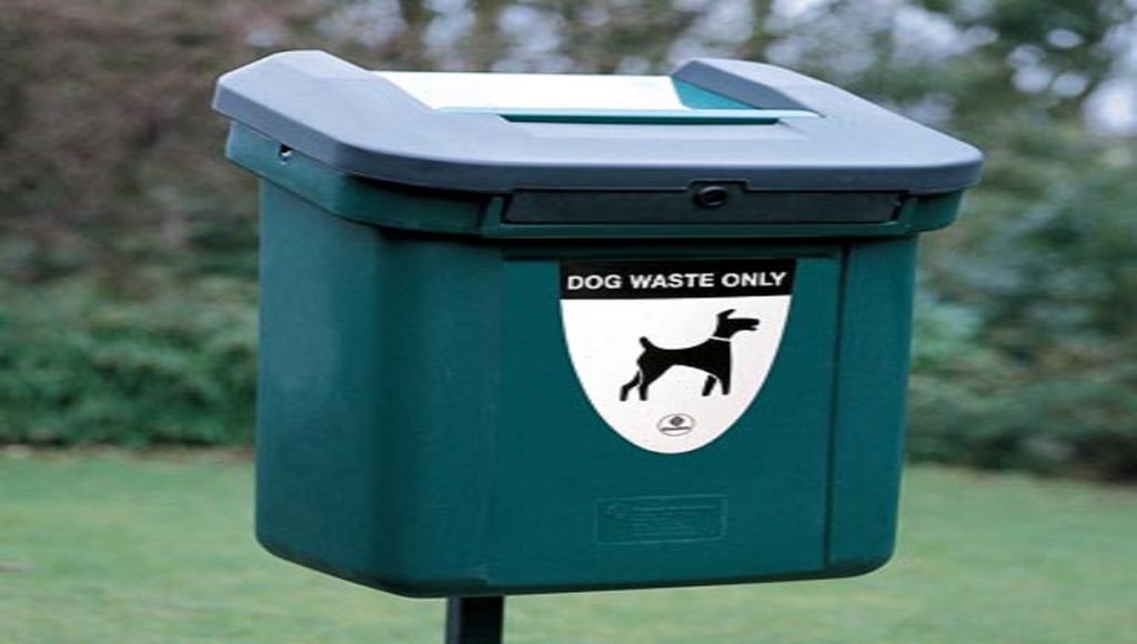 Can I Put Dog Poo in My Green Bin UK