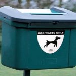 Can I Put Dog Poo in My Green Bin UK
