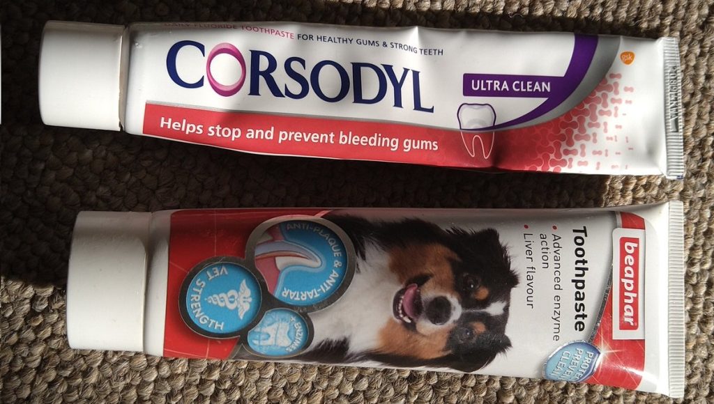 Can You Use Corsodyl on Dogs