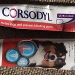 Can You Use Corsodyl on Dogs