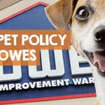 Is Lowes Pet Dog Pet Friendly