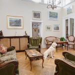 Pet Friendly Hotels in Duluth MN